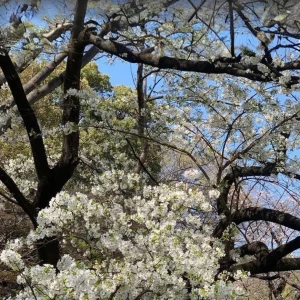 日曜日♪♪♪の写真1枚目