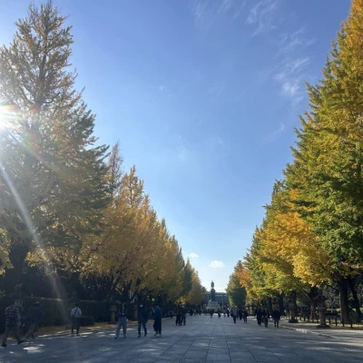 今日いまーす✨