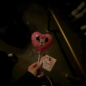 こんばんは🦢の写真1枚目