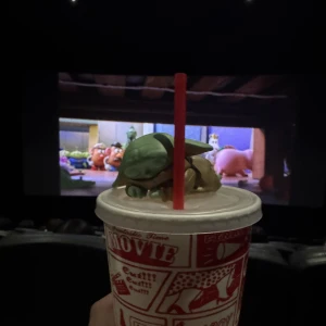 昨日の写真1枚目