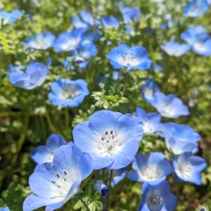 05.11の写真1枚目