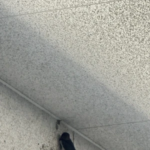 こんばんは🎶の写真2枚目