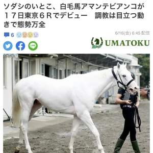 おはようございます🧸🎈の写真3枚目