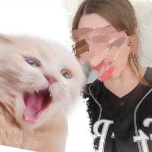 🌸の写真1枚目
