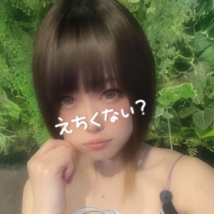 12/5の写真1枚目