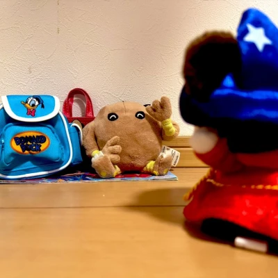 おはようございます🌞