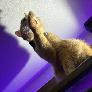 2026.4.25の写真1枚目