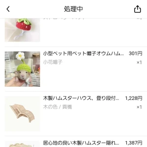 ハムスターの帽子爆買い🐹👒の写真2枚目