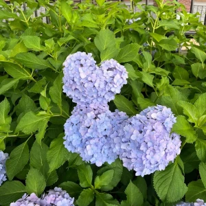 ⭐︎0629⭐︎の写真1枚目