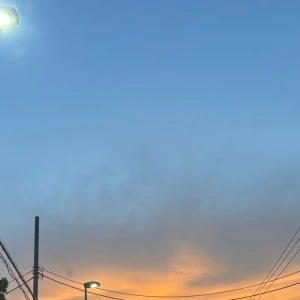 ᐕ)ﾉ 8.9 ①の写真1枚目
