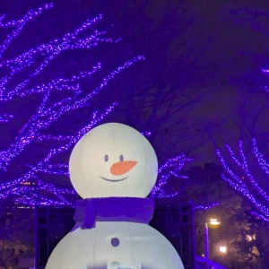 こんばんは❄㌨です☃️の写真1枚目