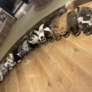 こんばんは～の写真2枚目