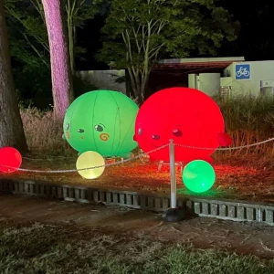 💚❤️の写真1枚目