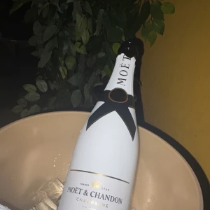 指名の方からシャンパンありがとう🥂の写真1枚目