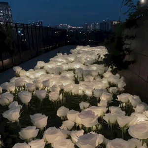 9.22の写真1枚目