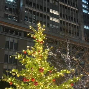華金🌼🌸の写真1枚目