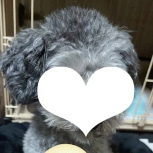 ♡出勤♡の写真1枚目