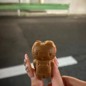 ᐕ)ﾉ 8.2 ③の写真1枚目