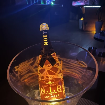 本日お休みです