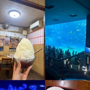 🍻の写真1枚目