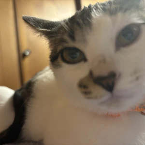 おはよぉーの写真1枚目