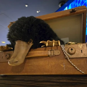 ドビーと二フラー💎の写真2枚目