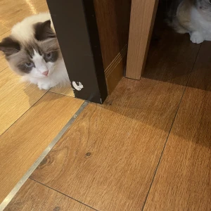 しゅっきん！の写真1枚目