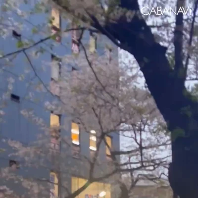 こんにちは⭐️