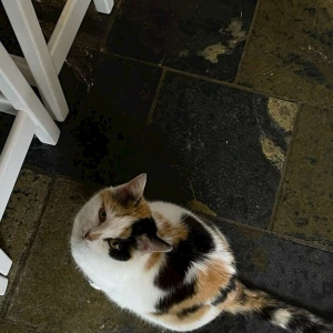 こんばんは✨の写真1枚目