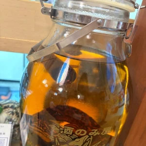 🍻の写真1枚目