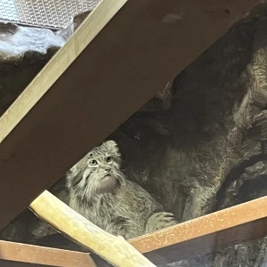 土曜日だ〜！の写真1枚目