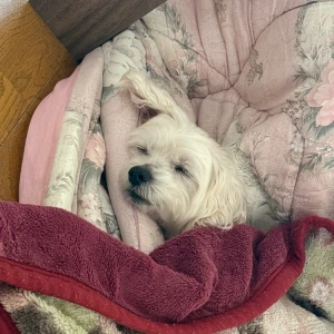 こんばんは🙃の写真1枚目