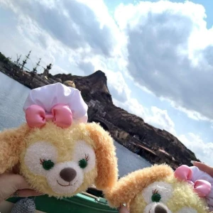 こんにちはの写真1枚目