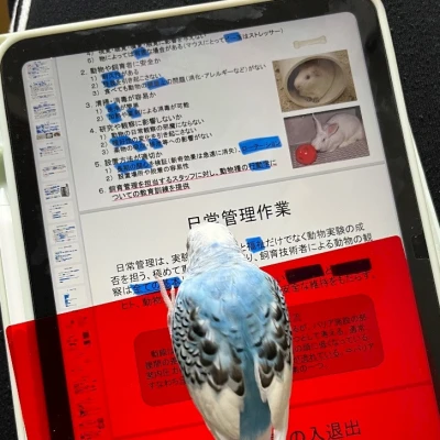 7/9②