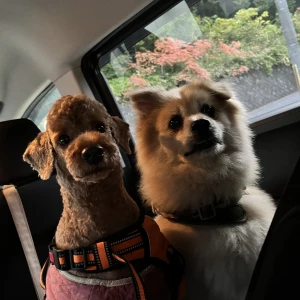 🌝の写真1枚目