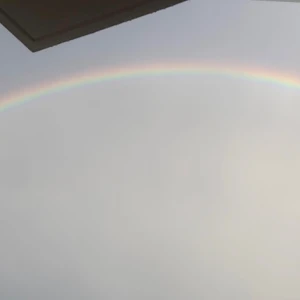 🌈👏の写真1枚目