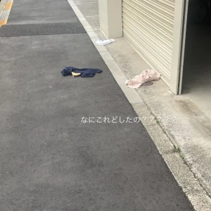 こんばんはあのです😸の写真1枚目