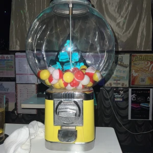 4/5(日) 22時からいます🐨の写真2枚目