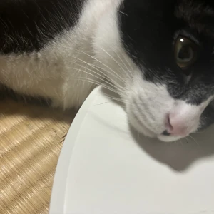 おはよぉ〜の写真1枚目