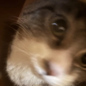 みんなおはよーの写真1枚目