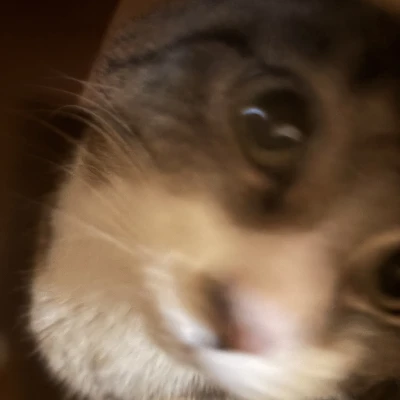 みんなおはよー