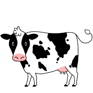 やほ！！の写真1枚目