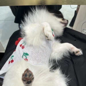 髪染めました、明るくなった！の写真1枚目