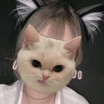 ひなた