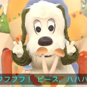 タイムライン: 08月17日 23:20の写真1枚目