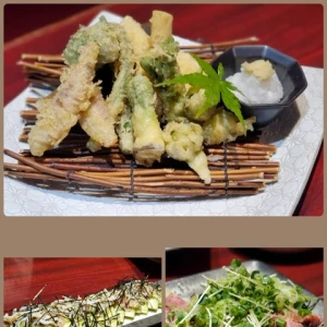 またまた( ᵒ̴̷͈ ⌑ ᵒ̴̶̷͈ )の写真2枚目