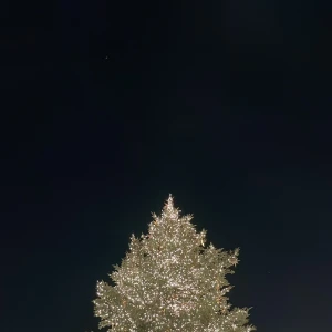 メリークリトリス‼️🎄㊙️の写真1枚目