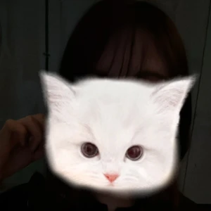 こんばんは- ̗̀☾⋆  ̖́-の写真1枚目