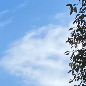 ☀ω☀の写真1枚目