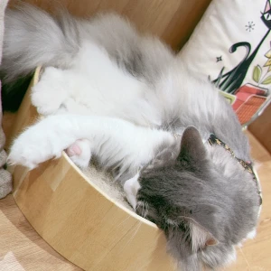 ♡10/25♡の写真1枚目